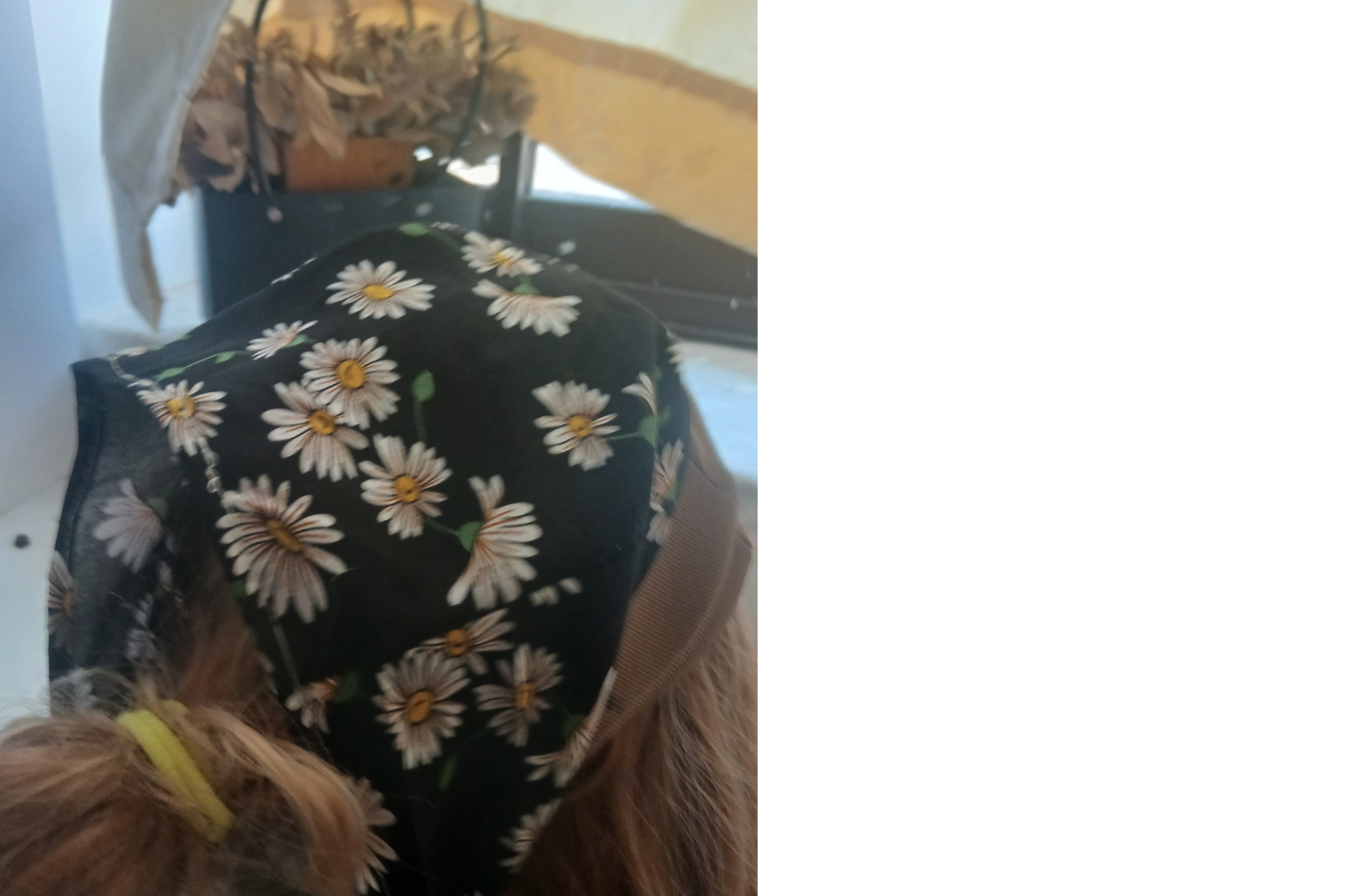 پشت سر کلاه بابونه، پارچه نخی ،طول ۲۵‌ سانت.